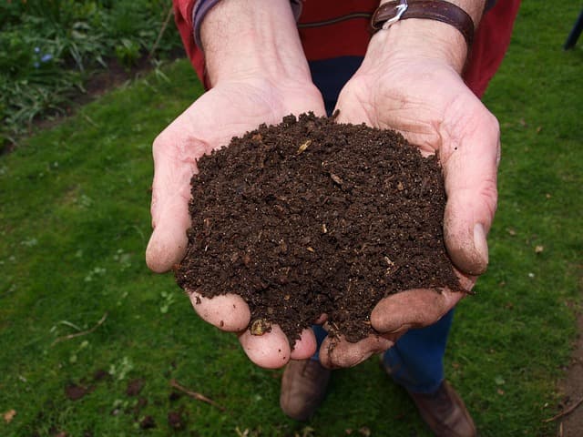 Finished compost crumbling in a gardener's hands above a backyard lawn.